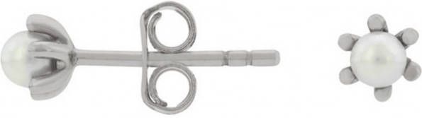 24Kae Oorbellen Oorstekers met parel 925 Sterling zilver gerhodineerd 42420S Zilverkleurig
