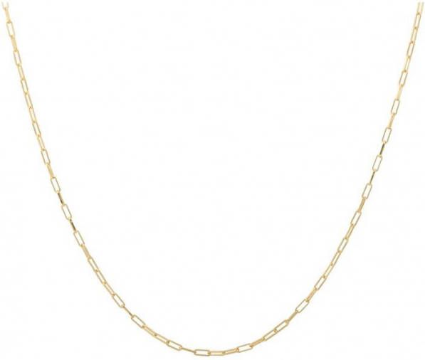 Anna + Nina Lifeline Plain Long ketting verguld