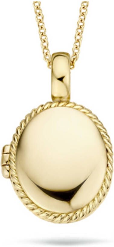 Blush Hanger van 14 karaat geelgoud 6081YGO