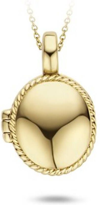 Blush Hanger van 14 karaat geelgoud 6086YGO