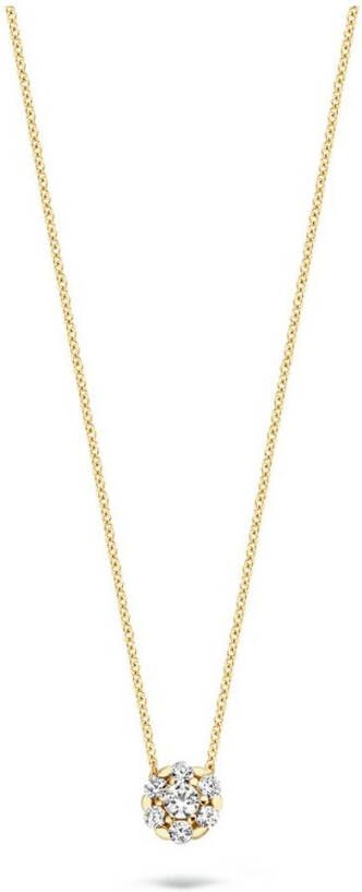 Blush Ketting van 14 karaat geelgoud met zirkonia 3097YZI