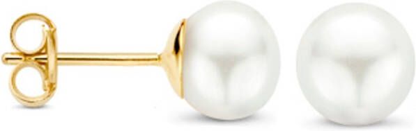 Blush Oorknopjes van 14 karaat geelgoud met parel 7136YPW
