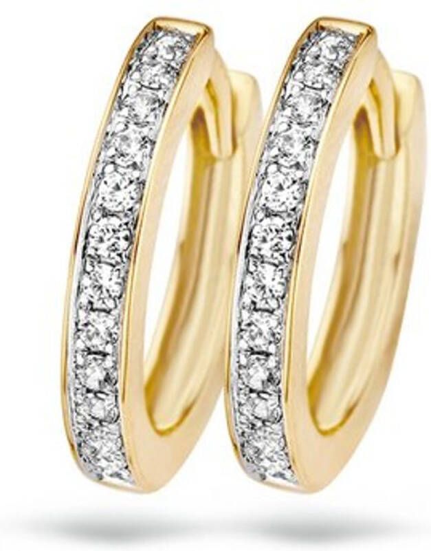 Blush Oorringen van 14 karaat geelgoud met zirkonia 7163BZI