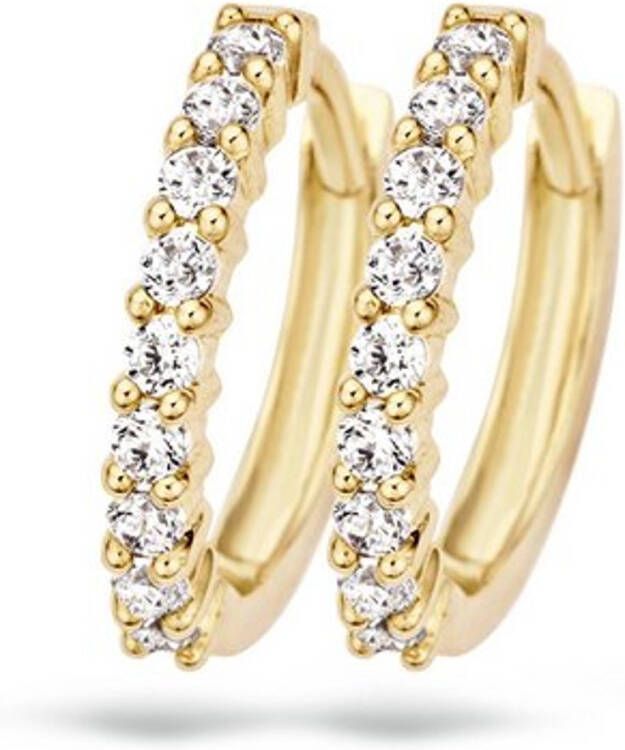 Blush Oorringen van 14 karaat geelgoud met zirkonia 7166YZI