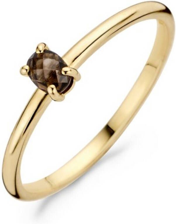 Blush Ring van 14 karaat geelgoud met rookkwarts 1204YSQ