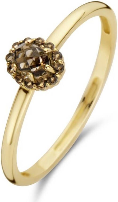 Blush Ring van 14 karaat geelgoud met rookkwarts 1226YSQ