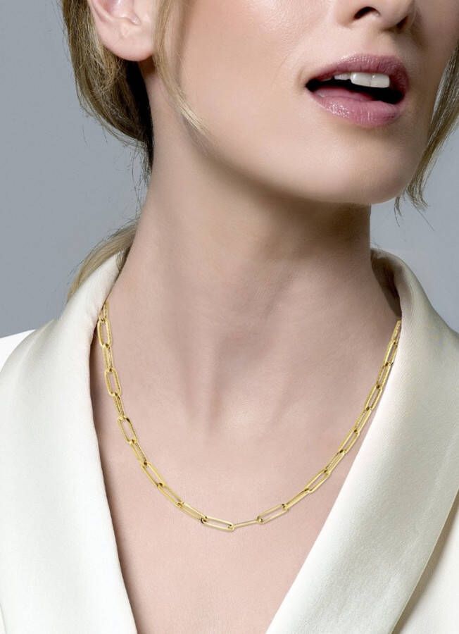 Blush Schakelketting van 14 karaat geelgoud 3101YGO