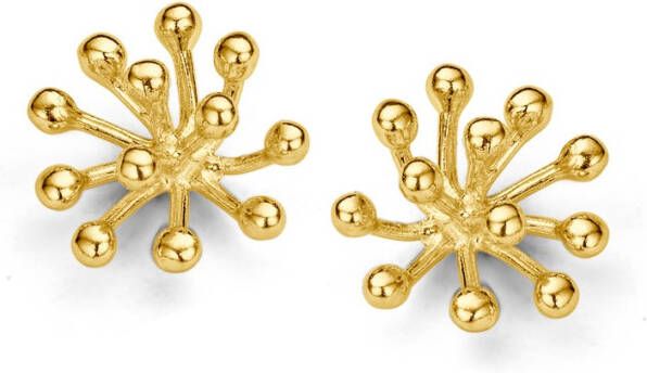 Casa Jewelry Porcu 2 oorknopjes verguld