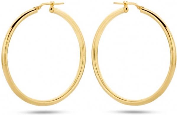 Casa Jewelry Rondinella L oorringen verguld