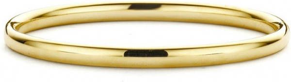Diamond Point Bangle van 14k geelgoud(M )
