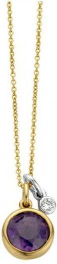 Diamond Point Birthstones gouden hanger Februari