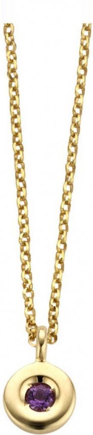 Diamond Point Birthstones gouden hanger Februari