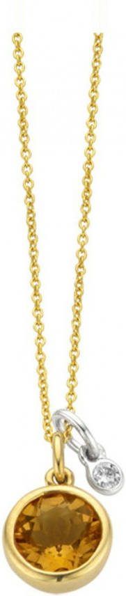 Diamond Point Birthstones gouden hanger November