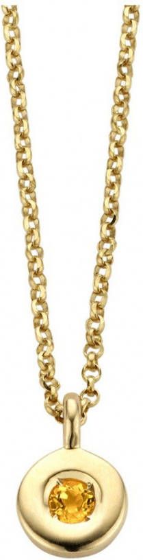 Diamond Point Birthstones gouden hanger November