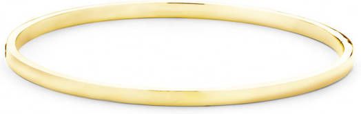 Diamond Point Geelgouden bangle(M )