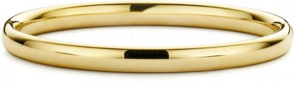 Diamond Point Geelgouden bangle(M )