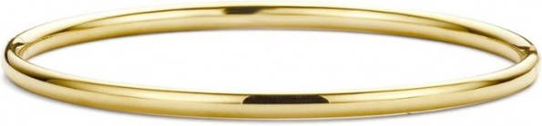 Diamond Point Geelgouden bangle(M )