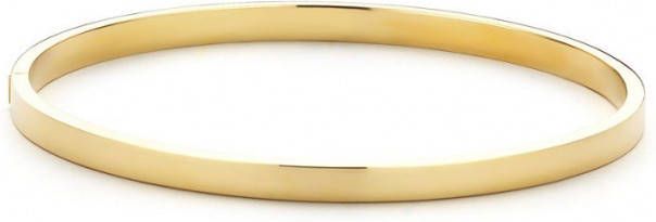 Diamond Point Geelgouden bangle(M )