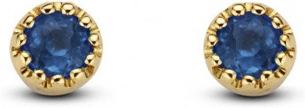 Diamond Point Geelgouden oorsieraden 0 10 ct blauwe saffier Joy
