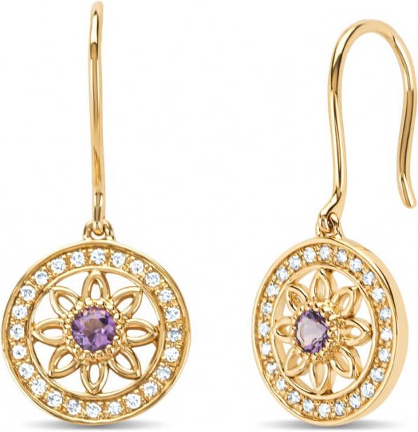 Diamond Point Geelgouden oorsieraden, 0 13 ct amethist, Birthstones