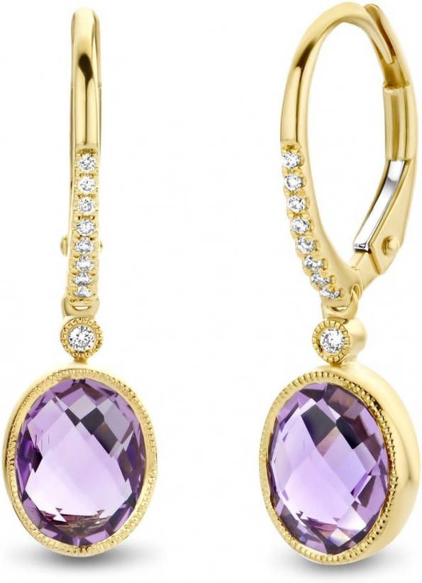 Diamond Point Geelgouden oorsieraden 2 46 ct paarse amethist Philosophy