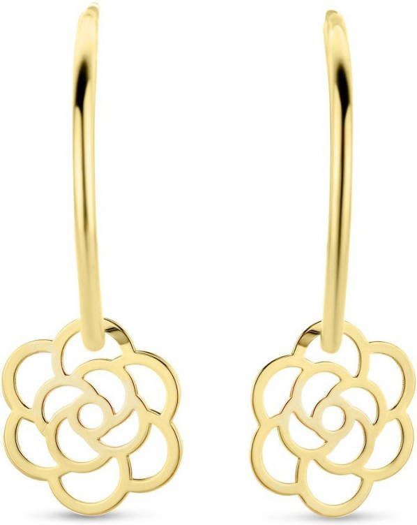 Diamond Point Geelgouden oorsieraden Marigold