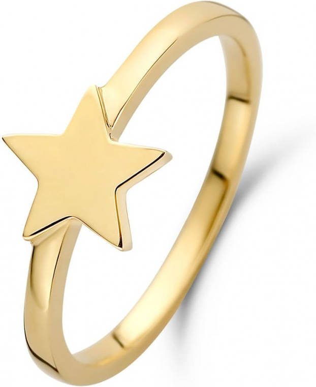 Diamond Point Geelgouden ring Dreamer