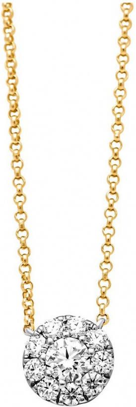 Diamond Point Gouden hanger, 0 43 ct diamant, Hearts & Arrows