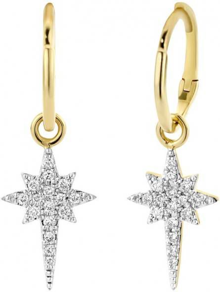 Diamond Point Gouden oorsieraden 0 14 ct diamant Cosmic