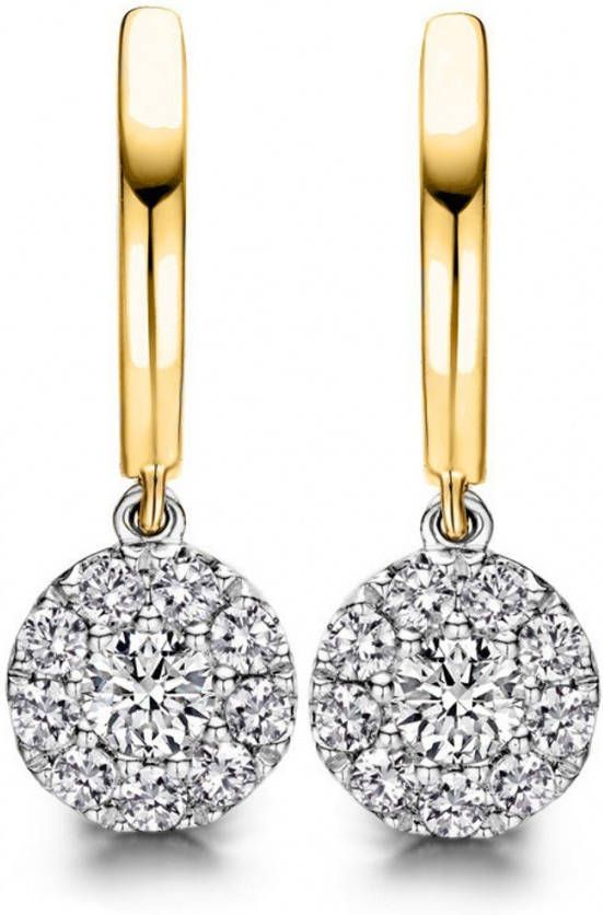 Diamond Point Gouden oorsieraden 0 41 ct diamant Hearts & Arrows