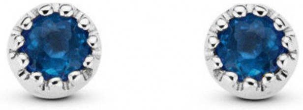 Diamond Point Witgouden oorsieraden 0 10 ct blauwe saffier Joy