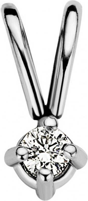 Diamond Point Witgouden solitair groeibriljant hanger, 0 03 ct 0 03 ct diamant Groeibriljant