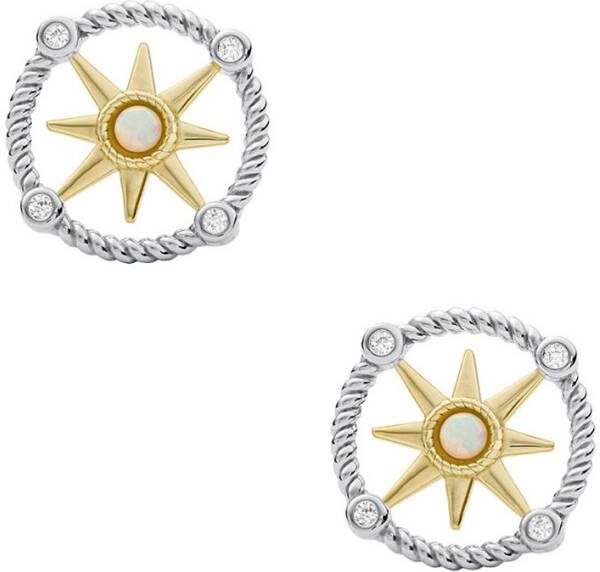 Fossil Elliot oorknopjes van sterling zilver JFS00574998