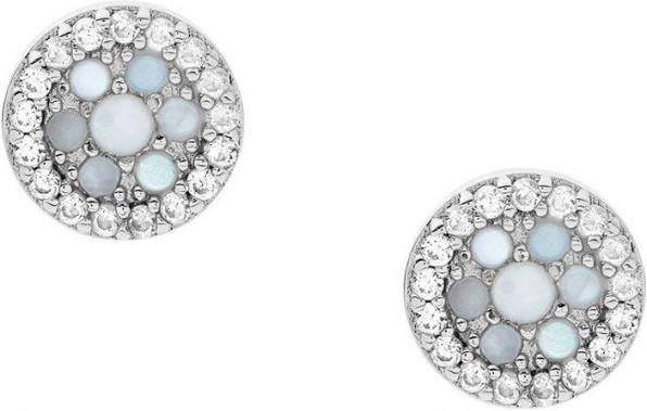 Fossil Oorknopjes van sterling zilver met parelmoer JFS00518040