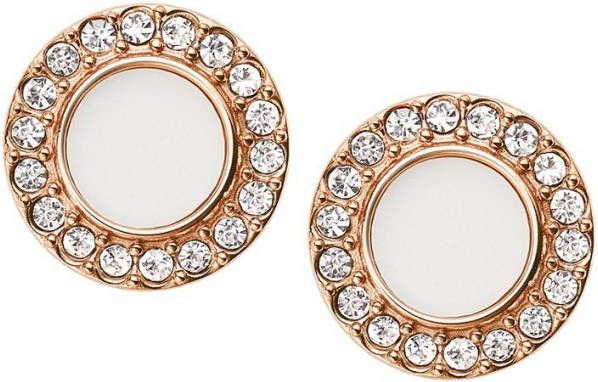 Fossil Oorstekers met halfedelsteen JF02659791