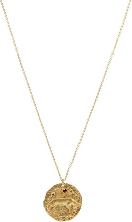 Maje Taurus ketting met hanger