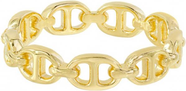 Wildthings Chunky Chain ring verguld