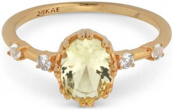 24Kae Ringen Ring met kleurstenen 925 Sterling zilver geelgoud verguld 12406Y Goudkleurig online kopen