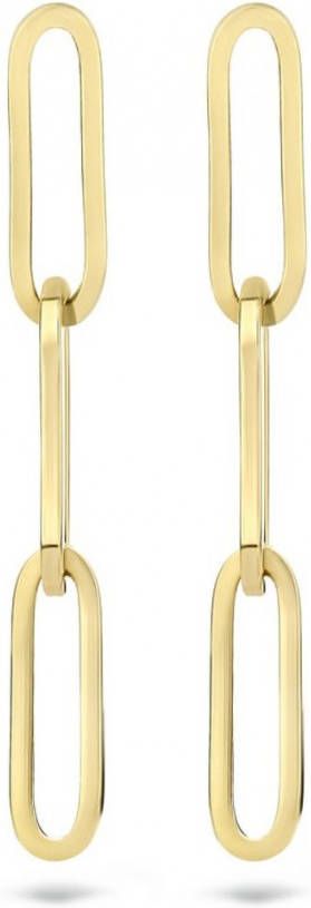 Blush Oorbellen van 14 karaat geelgoud 7276YGO