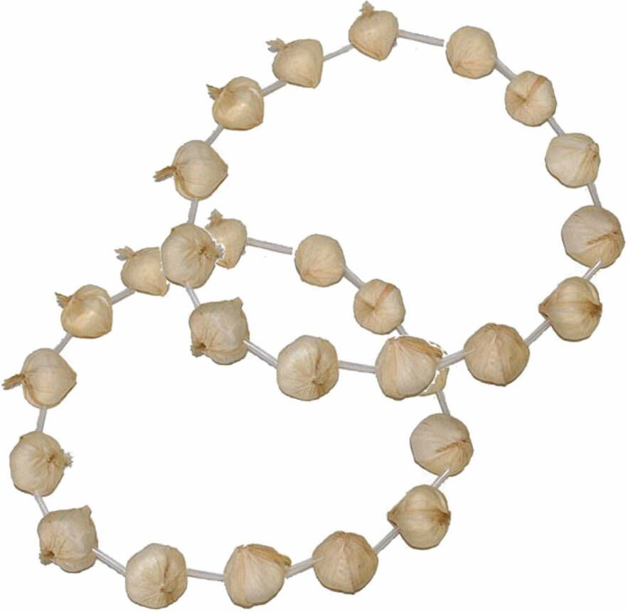 Merkloos 2x Stuks Knoflook Ketting Carnaval Verkleed Spullen Fransman/dracula Thema Verkleedketting