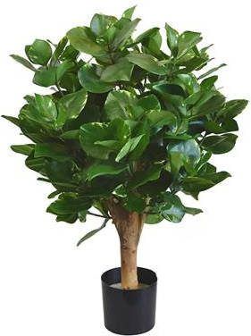 Clusia bol kunstplant 55cm