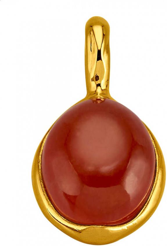 Gemondo Hanger met 1 rode jade cabochon Goudkleur