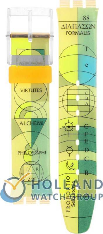 Swatch Chrono Strap ASCG109 SCG109 Archimede Horlogeband