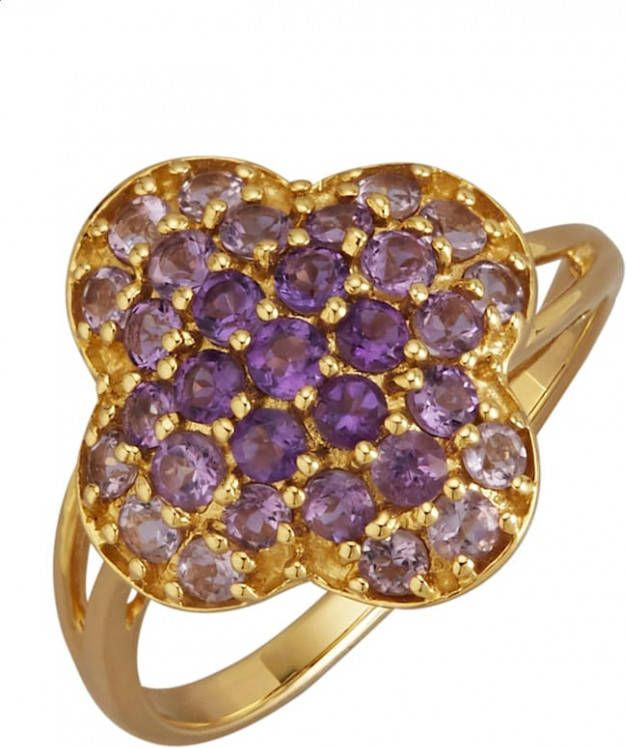 Diemer Farbstein Damesring van 14 kt. goud Paars