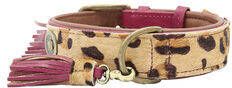 DWAM Halsband Lou Paars Hondenhalsband 26 29x2 cm