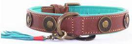 DWAM Halsband Urban Bruin&Turquoise Hondenhalsband 29 33x2.5 cm