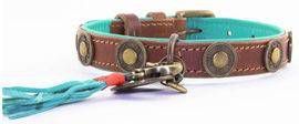 DWAM Halsband Urban Bruin&Turquoise Hondenhalsband 25 31x2.0 cm