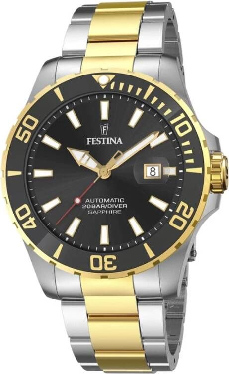 Festina Horloges , Grijs, Heren
