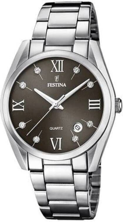 Festina Horloges , Grijs, Heren