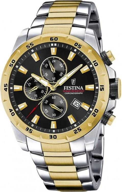 Festina Horloges , Grijs, Heren